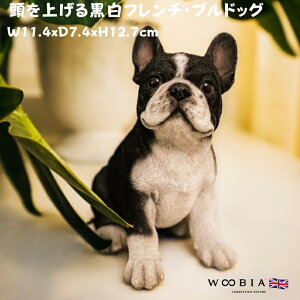  u  킢 グ鍕t`EuhbO woobia E[rA Ck  K[f CeA gC IuWF v[g k  G  _ ʔ  Mtg 