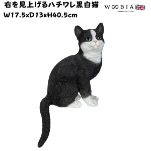 u Eグn`L lR 40.5cm woobia E[rA 傫 킢  K[f CeA IuWF   v[g k  G  _ ʔ  Mt