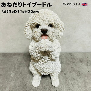 킢  u ˂v[h woobia E[rA Ck  K[f CeA gC IuWF  v[g k  G  _ ʔ  Mtg O  A 
