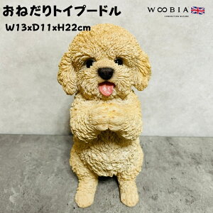 킢  u ˂v[h woobia E[rA Ck  K[f CeA gC IuWF  v[g k  G  _ ʔ  Mtg O  A 