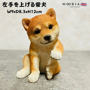 킢̒u グČ ObY woobia E[rA Ck  K[f CeA gC IuWF  v[g k  G  _ ʔ  Mtg O  