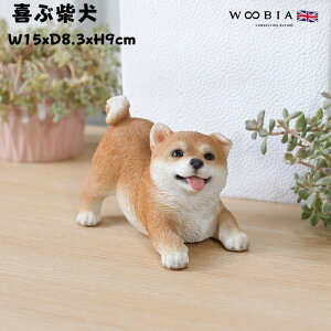 킢̒u ԎČ ObY woobia E[rA Ck  K[f CeA gC IuWF  v[g k  G  _ ʔ  Mtg O  A 