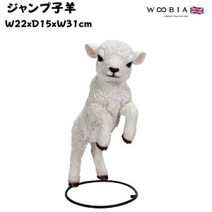 u Wvqr 31cm woobia E[rA 傫 킢  K[f CeA IuWF  v[g k  G  _ ʔ  Mtg O  A ֐ 