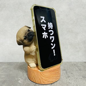 X}zX^h pO woobia E[rA  Ck   Aj} X}zz_[  v[g Mtg 蕨 u  A Aj}IuWF CeA 킢  K[f