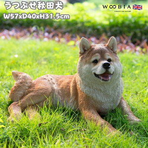 u ԂHc Ck  31.5cm woobia E[rA 傫 킢  K[f CeA IuWF   v[g k  G  _ ʔ  Mtg O 