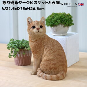 u UԂ_[NrXPbgƂL lR 26.3cm woobia E[rA 傫 킢  K[f CeA IuWF   v[g k  G  _ ʔ  