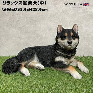u bNXČ  ObY 28.5cm woobia E[rA 傫 킢  K[f CeA IuWF   v[g k  G  _ ʔ  Mtg 