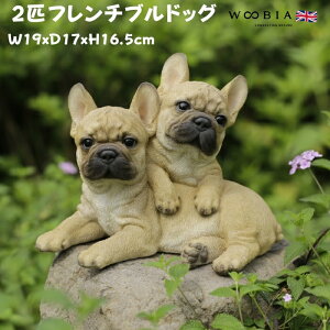 u 2C̃t`uhbO ObY 16.5cm woobia E[rA 傫 킢  K[f CeA IuWF  v[g k  G  _ ʔ  Mtg 