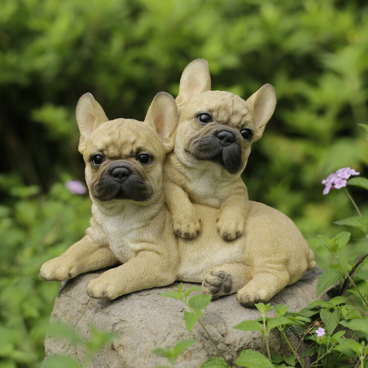 楽天市場】置物 2匹のフレンチブルドッグ 犬グッズ 高さ16.5cm woobia 