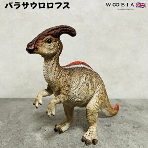 u  pTEtX woobia E[rA 傫 킢  K[f CeA IuWF   v[g k  G  _ ʔ  Mtg O  A 
