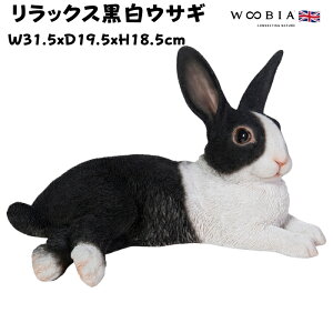 u bNXETM 18.5cm woobia E[rA 傫 킢  K[f CeA IuWF   v[g k  G  _ ʔ  Mtg O  