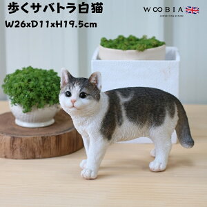 u TogL lR 19.5cm woobia E[rA 傫 킢  K[f CeA IuWF  v[g k  G  _ ʔ  Mtg O  A