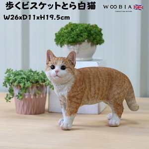 u rXPbgƂ甒L () lR 19.5cm woobia E[rA 傫 킢  K[f CeA IuWF   v[g k  G  _ ʔ  Mt