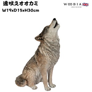 u iIIJ~ 30cm woobia E[rA 傫 킢  K[f CeA IuWF  v[g k  G  _ ʔ  Mtg O  A ֐