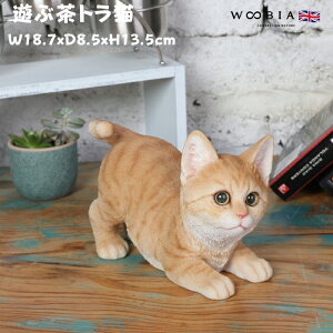u VԒgL lR 13.5cm woobia E[rA 傫 킢  K[f CeA IuWF  v[g k  G  _ ʔ  Mtg O  A 