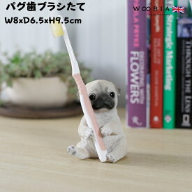 犬 置物 小さい かわいい パグの歯ブラシ立て woobia ウービア イヌ おしゃれ ガーデン インテリア トイレ オブジェ プレゼント 北欧 玄関 雑貨 動物 モダン 面白い 庭 ギフト 屋外 家 リアル 玄関先 卓上 ガーデンオーナメント ガーデニング