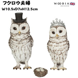 u  킢 IuWF k  tNEvw 12.5cm woobia E[rA 傫  K[f CeA v[g  G _ ʔ  Mtg O  A ֐ K[