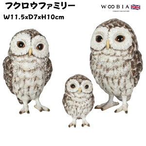 u  킢 IuWF k  tNEt@~[ 10cm woobia E[rA 傫  K[f CeA v[g  G _ ʔ  Mtg O  A ֐
