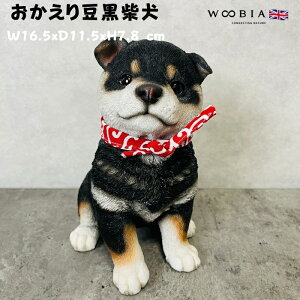킢̒u 蓤Č  ObY woobia E[rA Ck  K[f CeA gC IuWF  v[g k  G  _ ʔ  Mtg O  