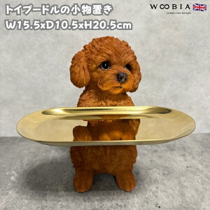 u gCv[h̏u g[̎O\ Ck  20.5cm woobia E[rA 傫 킢  K[f CeA IuWF  v[g k  G  _