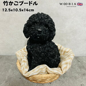 킢  u |v[h woobia E[rA Ck  K[f CeA gC IuWF  v[g k  G  _ ʔ  Mtg O  A ֐