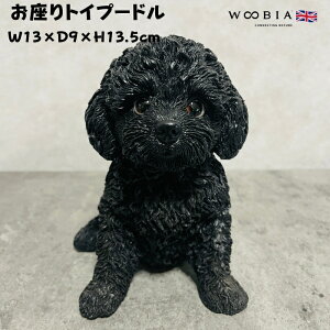 킢  u gCv[h woobia E[rA Ck  K[f CeA gC IuWF  v[g k  G  _ ʔ  Mtg O  A 