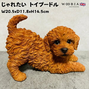킢  u ꂽ gCv[h uE woobia E[rA Ck  K[f CeA gC IuWF  v[g k  G  _ ʔ  Mtg 