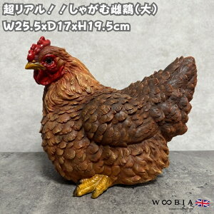 u  킢 IuWF k  Ⴊގ{  jg 19.5cm woobia E[rA 傫  K[f CeA ^ v[g  G _ ʔ  Mtg O  