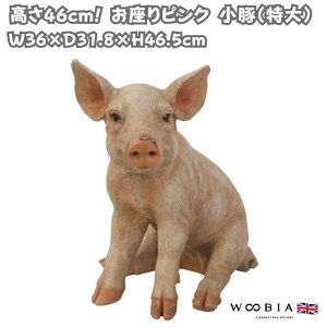 u sN   u^ObY 46.5cm IuWF ^ woobia E[rA 傫 킢  K[f CeA  v[g k  G  _ ʔ 