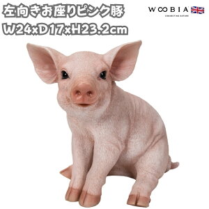 u sN u^ObY 23.2cm woobia E[rA 傫 킢  K[f CeA IuWF  v[g k  G  _ ʔ  Mtg 
