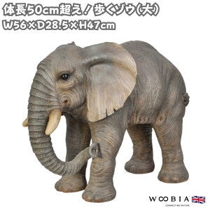 u ]E  47cm IuWF N  woobia E[rA 傫 킢  K[f CeA  v[g k  G  _ ʔ  Mtg O  