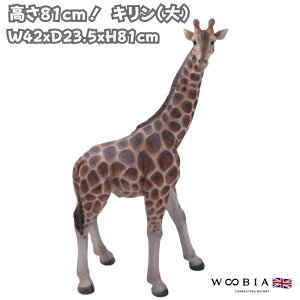 u L  81cm woobia E[rA 傫 킢  K[f CeA IuWF   v[g k  G  _ ʔ  Mtg O  A ֐ 
