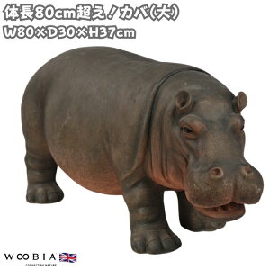 u Jo  37cm IuWF ^ woobia E[rA 傫 킢  K[f CeA  v[g k  G  _ ʔ  Mtg O  A 