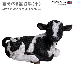 u  Qׂ鍕  ObY 15.5cm woobia E[rA 킢  K[f CeA IuWF  v[g k  G _ ʔ  Mtg O  A 