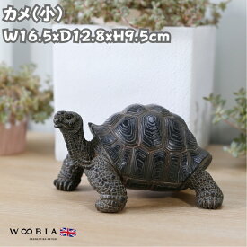かわいい 亀の置物 カメ 小 woobia ウービア おしゃれ ガーデン インテリア トイレ オブジェ 可愛い プレゼント 北欧 玄関 雑貨 動物 モダン 面白い 庭 ギフト 屋外 家 リアル 玄関先 卓上 ガーデンオーナメント