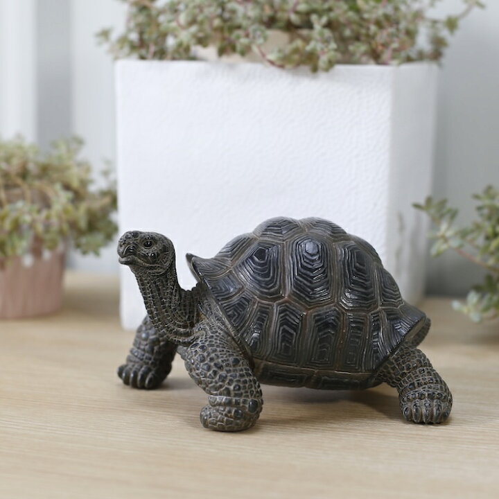 楽天市場】かわいい 亀の置物 カメ 小 woobia ウービア おしゃれ 