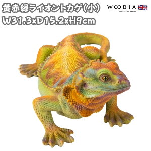 u ԗ΃CIgJQ  킢 IuWF k  9cm woobia E[rA 傫  K[f CeA v[g  G _ ʔ  Mtg O  A 