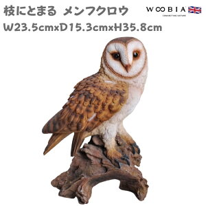 u  킢 IuWF k  }ɂƂ܂ tNE 35.8cm woobia E[rA 傫  K[f CeA  v[g  G _ ʔ  Mtg O  