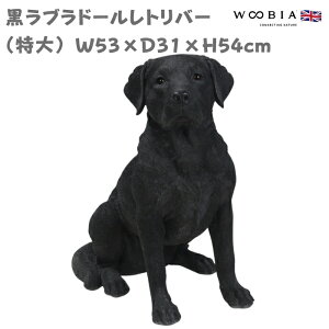 u 胉uh[go[   Ck  54cm woobia E[rA 傫 킢  K[f CeA IuWF   v[g k  G  _ 
