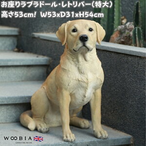 u 胉uh[Ego[  Ck  54cm woobia E[rA 傫 킢  K[f CeA IuWF   v[g k  G  _ 