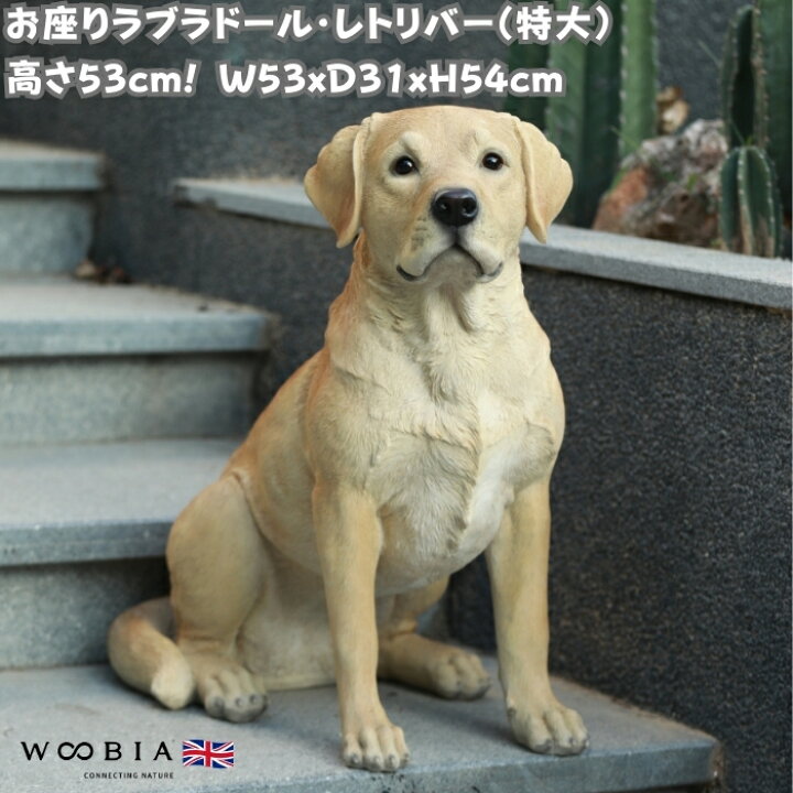 楽天市場】犬 置物 大きい お座りラブラドール・レトリバー 特大 高さ 