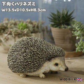 かわいい 下向くハリネズミの置物 woobia ウービア おしゃれ ガーデン インテリア トイレ オブジェ 可愛い プレゼント 北欧 玄関 雑貨 動物 モダン 面白い 庭 ギフト 屋外 家 リアル 玄関先 卓上 ガーデンオーナメント