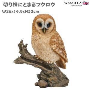 u  킢 IuWF k  ؂芔ɂƂ܂tNE 32cm woobia E[rA 傫  K[f CeA  v[g  G _ ʔ  Mtg O  
