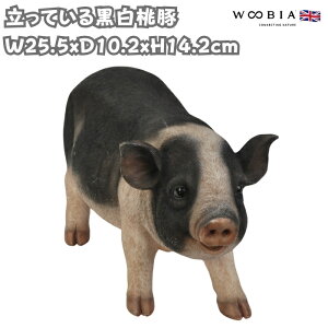 u Ă鍕 u^ObY 14.2cm woobia E[rA 傫 킢  K[f CeA IuWF  v[g k  G  _ ʔ  Mtg O