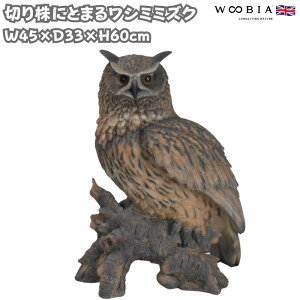 ̒u ؂芔ɂƂ܂郏V~~YN 60cm IuWF 킢 k   ^ woobia E[rA 傫  K[f CeA  v[g  G _  Mt