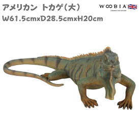 置物 アメリカントカゲ 大 かわいい 巨大オブジェ 北欧 動物 高さ20cm woobia ウービア 大きい おしゃれ ガーデン インテリア プレゼント 玄関 雑貨 モダン 面白い 庭 ギフト 屋外 家 リアル 玄関先 ガーデンオーナメント