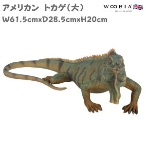 u AJgJQ  킢 IuWF k  20cm woobia E[rA 傫  K[f CeA v[g  G _ ʔ  Mtg O  A 