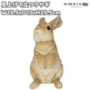 e̒u グėx[WETM 25.5cm e woobia E[rA 傫 킢  K[f CeA IuWF   v[g k  G  _ ʔ  