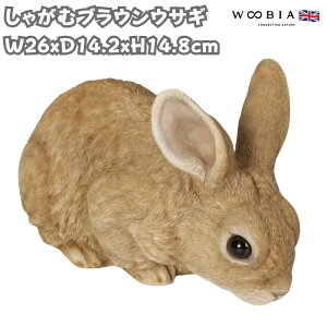 e̒u ႪރuEETM 14.8cm woobia E[rA 傫 킢  K[f CeA IuWF  v[g k  G  _ ʔ  Mtg O 