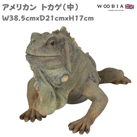 置物 アメリカトカゲ 中 かわいい オブジェ 北欧 動物 高さ12.5cm woobia ウービア 大きい おしゃれ ガーデン インテリア プレゼント 玄関 雑貨 モダン 面白い 庭 ギフト 屋外 家 リアル 玄関先 ガーデンオーナメント